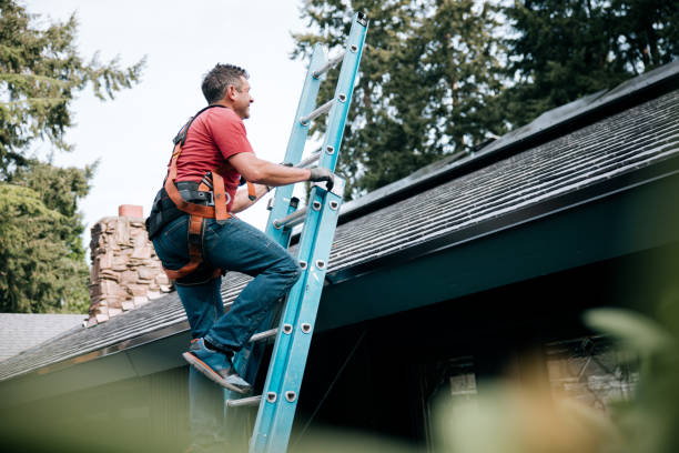 Best Solar Panel Roofing Installation  in Henry, IL